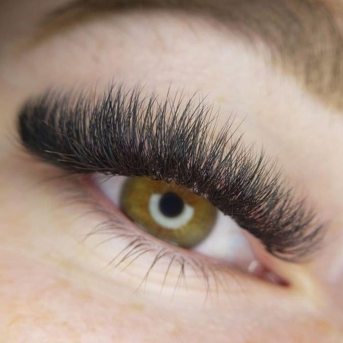 8D Premade Lash Fans